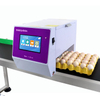 Factory Directly Sell 6 Heads Fast Dry Logo Printer Egg Printing Machine Egg Inkjet Coding Machine