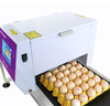 Factory Directly Sell 6 Heads Fast Dry Logo Printer Egg Printing Machine Egg Inkjet Coding Machine