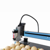 Egg Inkjet Printer